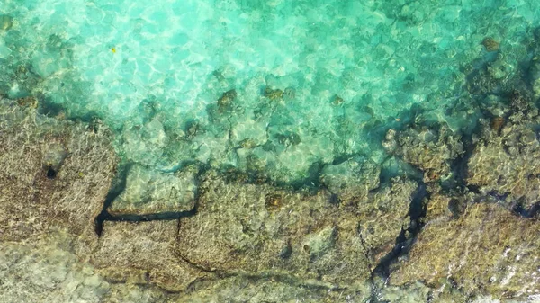 Μια Εναέρια Λήψη Κοραλλιογενών Υφάλων Κάτω Από Γαλήνιο Νερό Στη — Φωτογραφία Αρχείου