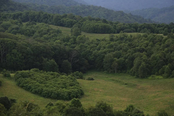 Bela Vista Vale Verde Serra Coberta Floresta Com Céu Nublado — Fotografia de Stock