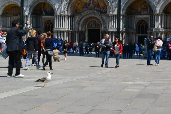 Lidé Procházející Náměstí Svatého Marka Benátkách — Stock fotografie