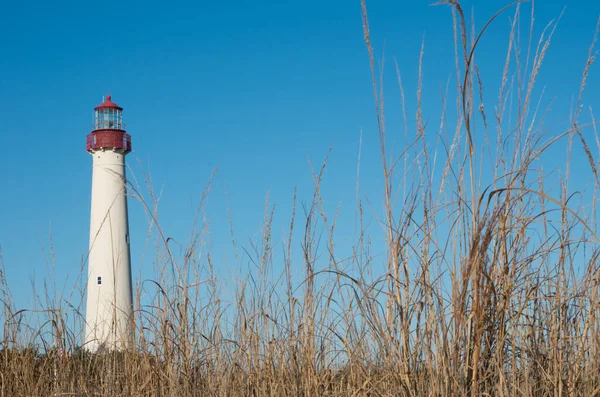 Μια Κάθετη Λήψη Του Φάρου Cape May Ενάντια Στο Γαλάζιο — Φωτογραφία Αρχείου