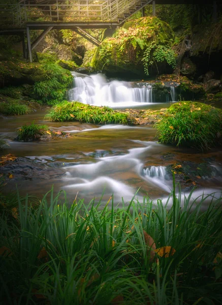 Piękne Ujęcie Płynącego Wodospadu Żółknącej Roślinności Lesie — Zdjęcie stockowe