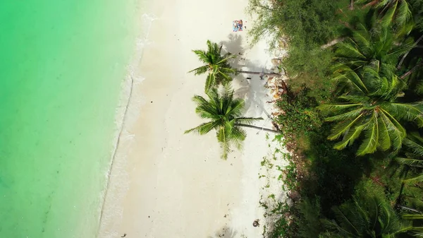 Eine Drohne Schoss Die Palmen Einem Sandstrand Der Vom Indischen — Stockfoto