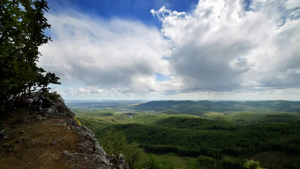 緑に覆われた丘の美しい景色 — ストック写真