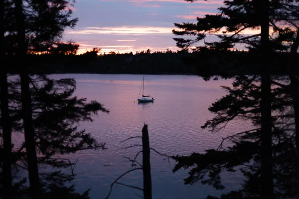 Scenic View Boat Sailing Lake Surrounded Pine Trees Purple Sunset — Stock Photo, Image