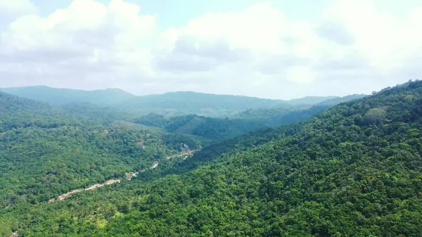 Une Vue Aérienne Grande Forêt Tropicale Humide Thaïlande Sous Ciel — Photo