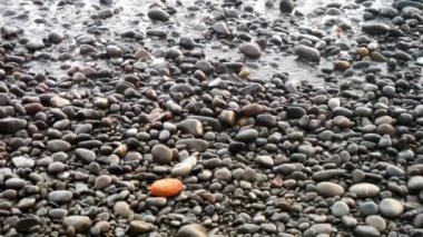 Sahildeki suyun yanında ıslak çakıl taşlarının yakın çekimi.