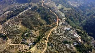 Vietnam 'daki Sapa pirinç tarlalarının havadan görünüşü