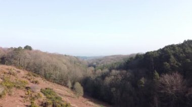 Tepelerdeki sık ormanların güzel manzarası.