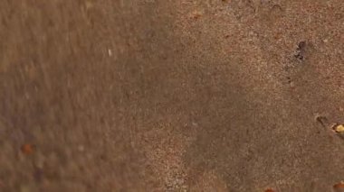 Kum tanecikleriyle akan su desenler oluşturuyor.