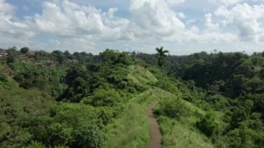 Ubud, Bali, Endonezya 'da yeşillik ve bayır patikasıyla dağlık bir arazinin güzel bir manzarası.