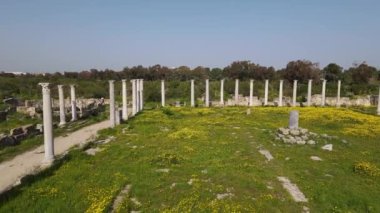 Kuzey Kıbrıs, Famagusta 'daki Salamis Harabeleri