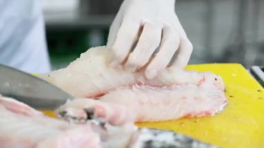 Şefin eldiven taktığı, deniz mahsulü fileto hazırlarken çekilmiş yakın plan bir fotoğrafı. Çiğ balık eti.