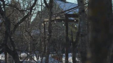 Kanada Winnipeg 'de kış boyunca arka planda bir bina bulunan çıplak ağaçların 4K görüntüsü.