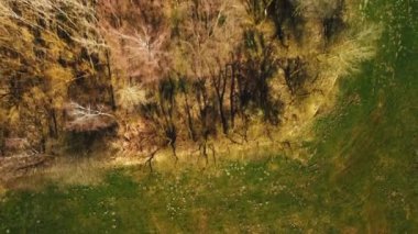 Güneşli bir yaz gününde güzel bir tarlanın havadan görünüşü.