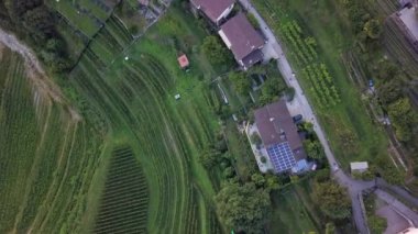 Üzüm bağlarının, kırsal kesimlerin, kasabanın, Vassallo 'nun, Ticino İsviçre' nin havadan görünüşü