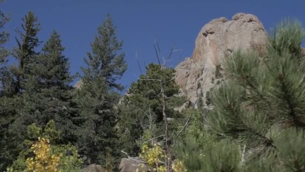 Een Betoverend Landschap Uitzicht Met Hoge Dichte Bomen Estes Park — Stockvideo