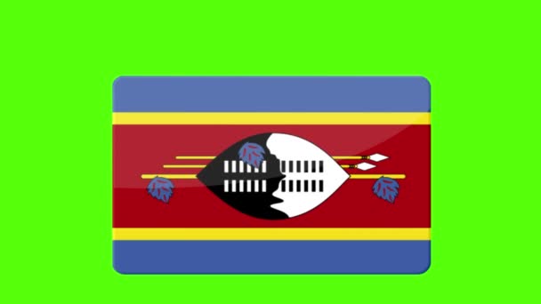 Die Digitalen Aufnahmen Der Flagge Von Swasiland Die Auf Dem — Stockvideo