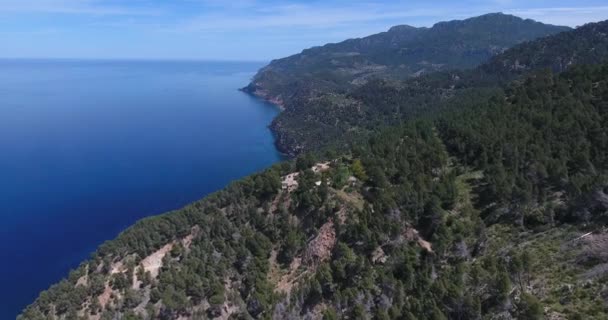 スペインのパルマ マリョルカの木と海の空中 — ストック動画