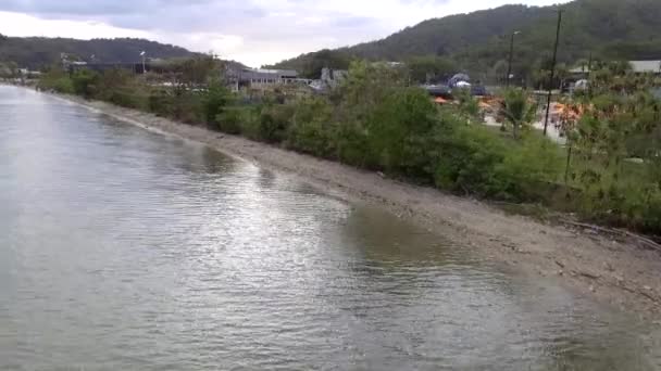 Latający Widok Powietrza Rzeki Płynącej Wraz Lasem — Wideo stockowe