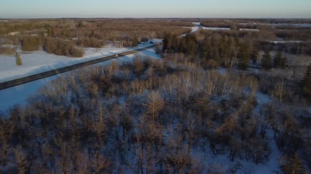 Vídeo Aéreo Florestas Durante Inverno Com Árvores Secas Estradas Nevadas — Vídeo de Stock