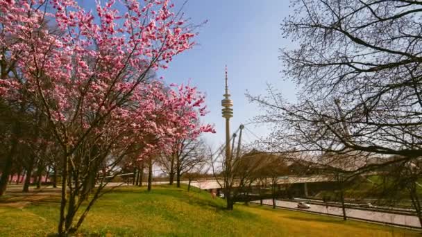 Hermoso Lapso Tiempo Primavera Munich — Vídeos de Stock