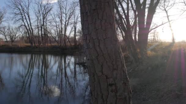 View Clear Lake Surrounded Leafless Trees Fort Collins Colorado — Stock Video