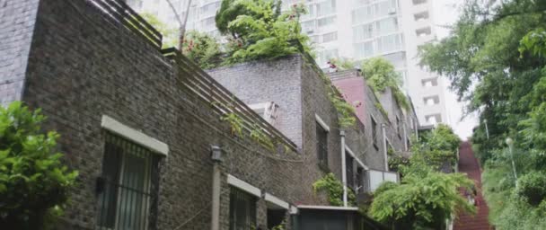 Ángulo Bajo Patio Trasero Casas Edificios Con Plantas Verdes Seúl — Vídeo de stock