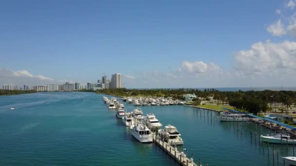 Una Vista Aérea Sunny Isles Marina Con Muchos Edificios Miami — Vídeo de stock