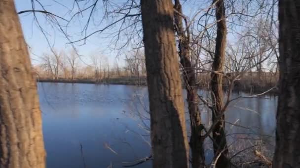 Blick Auf Einen Klaren See Umgeben Von Blattlosen Bäumen Fort — Stockvideo