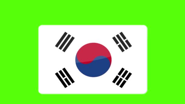 Цифровые Кадры Флага Южной Кореи Появляющиеся Зеленом Экране — стоковое видео
