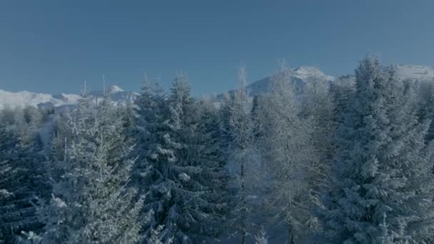 Εναέρια Πλάνα Του Valloire Χειμώνα Savoie Γαλλία Χιονοδρομικός Σταθμός Και — Αρχείο Βίντεο