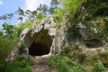 Bir mağara manzarası ve açık gökyüzünün altındaki yeşil ağaçlar