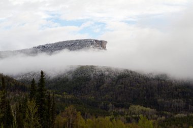 Alaska otoyolunun kışın manzarası