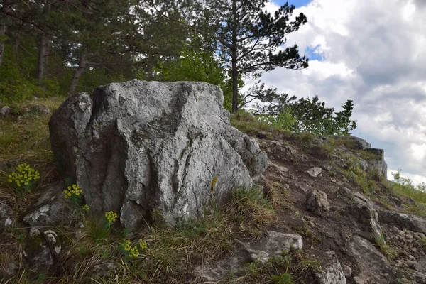 Gros Plan Une Grosse Pierre Milieu Sentier — Photo