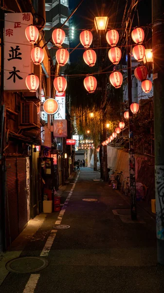 Tiro Vertical Japão Tokyo Alley Lanterns Moody — Fotografia de Stock