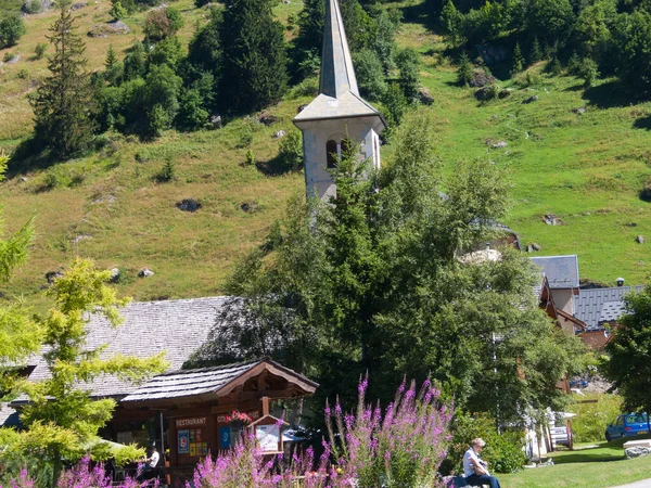 Beautiful Shot Fireweed Plants Green Hills Saint Sigismond Champagny Haut — Stock Photo, Image