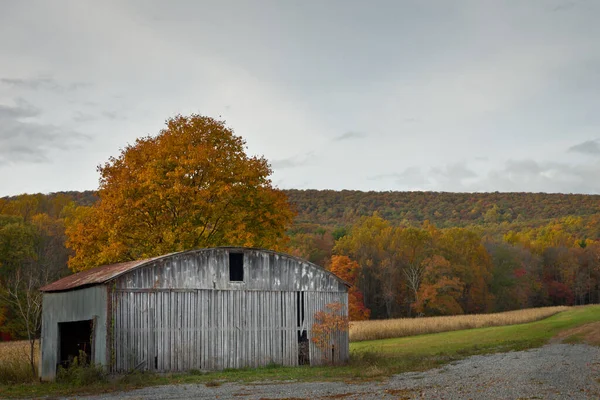 Eine Schöne Aufnahme Eines Alten Hölzernen Maschinenschuppens Mit Herbstlichem Hintergrund — Stockfoto