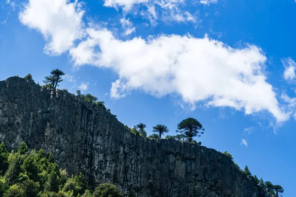 Drzewa Skalistych Klifach Przeciwko Błękitnemu Pochmurnemu Niebu Słoneczny Dzień — Zdjęcie stockowe