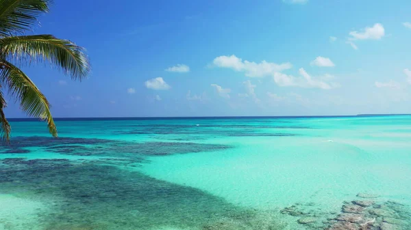 Uma Vista Panorâmica Palmeira Crescendo Uma Praia Contra Mar Azul — Fotografia de Stock