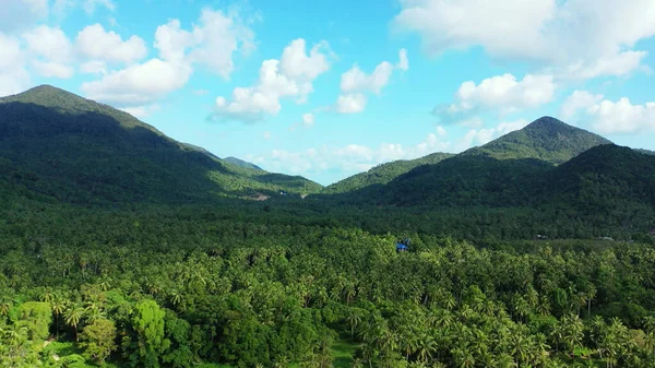 Ein Gebirge Und Ein Grüner Wald Auf Einer Insel Unter — Stockfoto