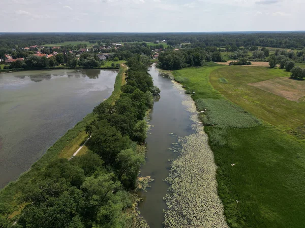 Flygfoto Över Sjö Och Flod Som Rinner Genom Gräsmark Skog — Stockfoto