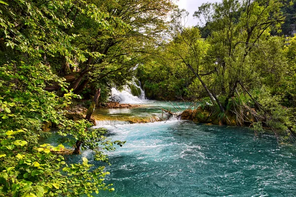 クロアチアの濃い緑の木々に囲まれたプリトヴィツェ湖の景色 — ストック写真