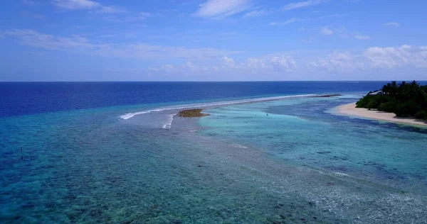 Una Vista Aerea Del Mare Circondato Alberi Crescita Alle Maldive — Foto Stock