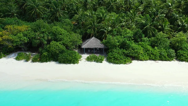 Una Vista Aérea Playa Arena Con Árboles Crecimiento Maldivas — Foto de Stock