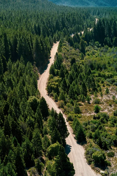 Sentier Milieu Forêt — Photo