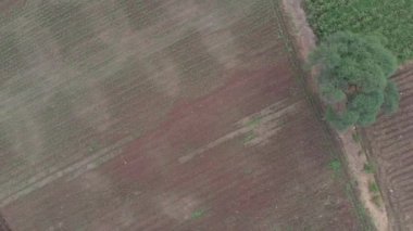 Kırsal kesimdeki tarım arazilerinin hava görüntüleri.