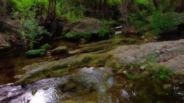İnsansız hava aracı, İspanya 'nın Katalonya eyaletindeki Sant Miquel del Fai' de nehrin üzerinden uçuyor.