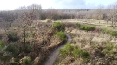 Kuru yaprak döken bir ormanın havadan görünüşü