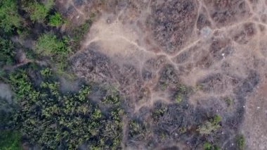 Kuru arazi ve yeşilliğin kuş bakışı görüntüsü