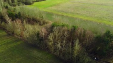Yeşil vadiler arasında çizgili yapraksız kuru ağaçların havadan görünüşü